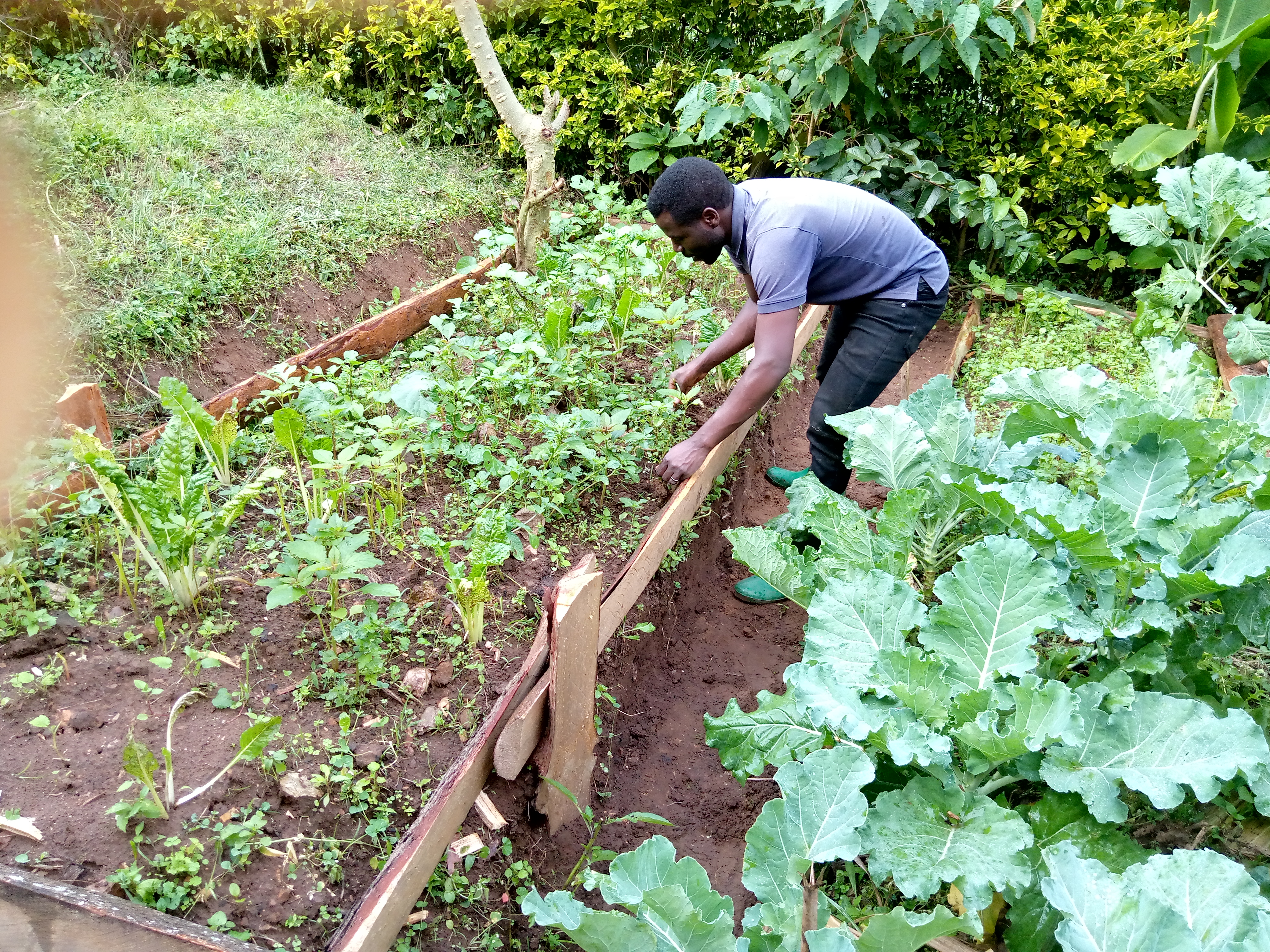 Nutrition and food security